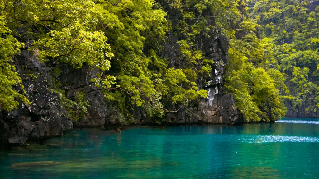 Best Things To Do in Coron