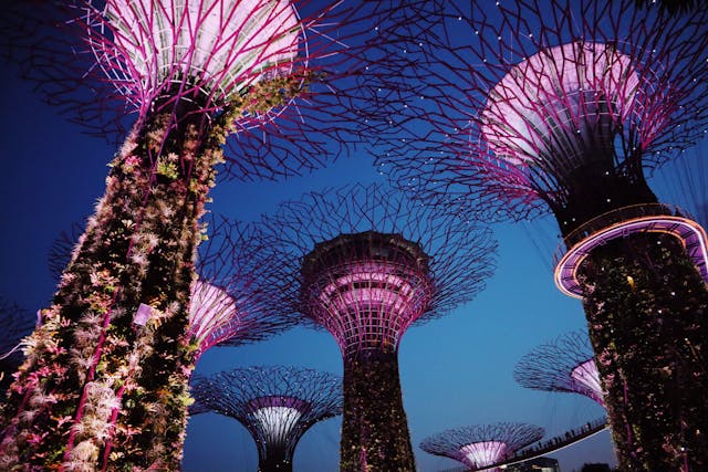 Things To Do in Singapore