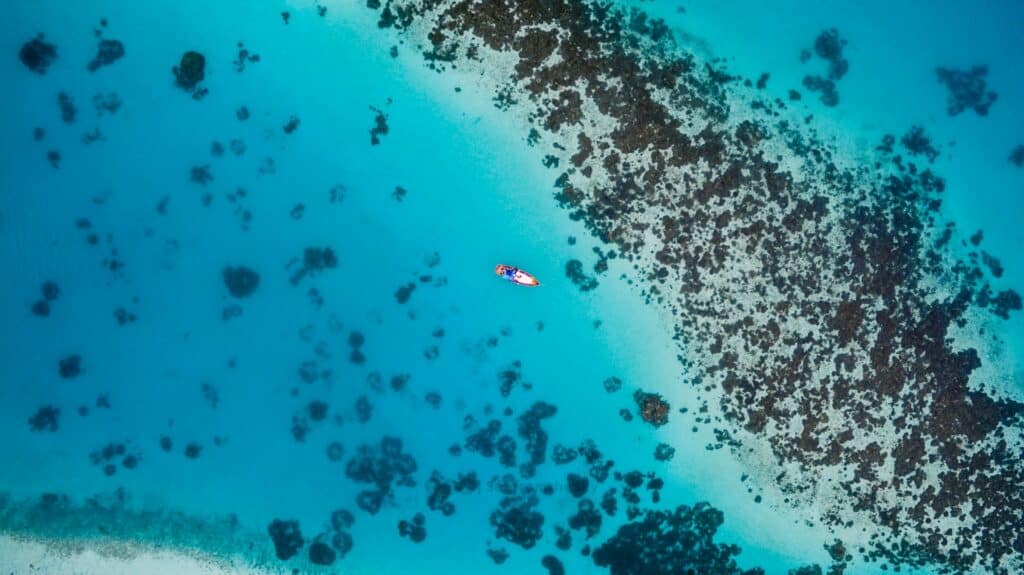 Maldives Snorkeling Spots